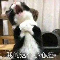 电话,地址,价格,营业时间石家庄美食