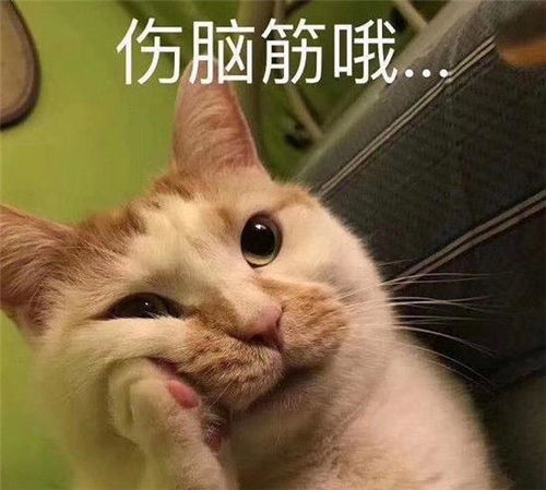 导演选角眼光毒,曹煜辰再演真香角色,成迪丽热巴初恋男友