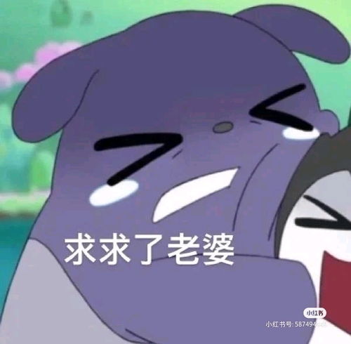 第一期男友必看丨男朋友必修表情包