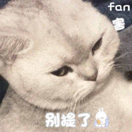 忍一时越想越气第258期喵表情