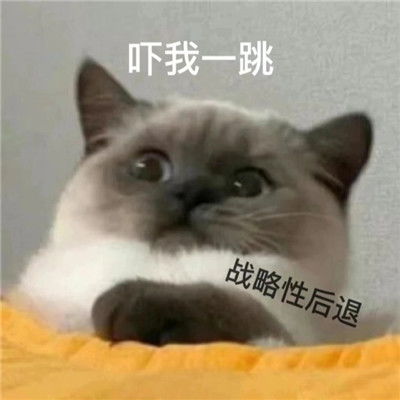 抖音完了芭比q了表情包很火很有趣味的搞笑聊天表情