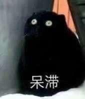 有哪些让人疯狂拍桌共鸣的沙雕朋友圈文案
