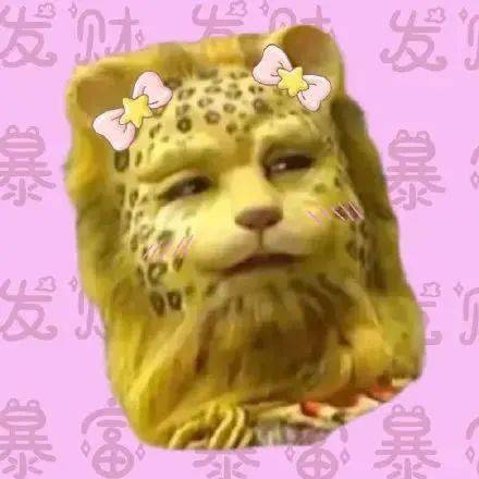 豹富了豹富了豹富了第304期喵表情包