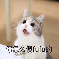 猫的表情包卖萌头像