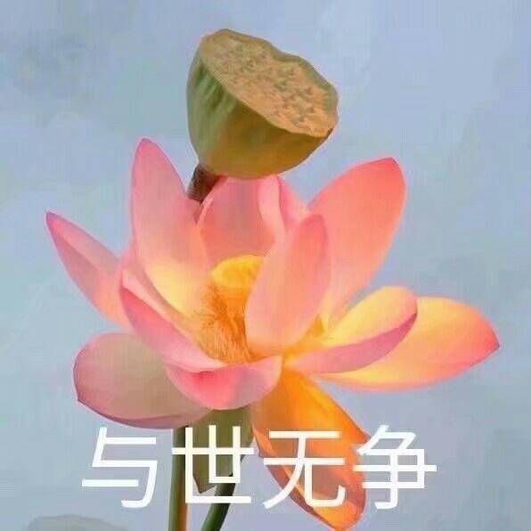 转发这条推送请记得屏蔽爸妈