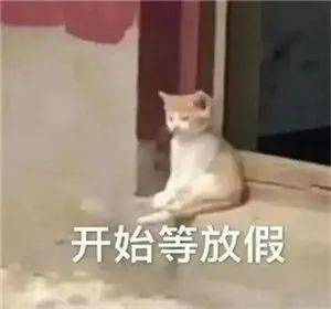 七夕来了,这届法院人的愿望是