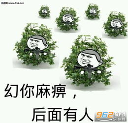 绝地求生落地成盒什么梗绝地求生落地成盒表情包下载乐游网游戏下载