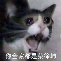鸡你太美表情包