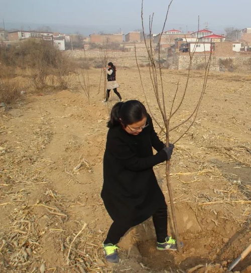 我脱掉了高跟鞋,摘掉了学院派的帽子一位80后乡镇女干部的心路历程