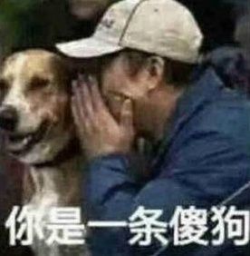 和男朋友刚刚开始,怎样撩男朋友