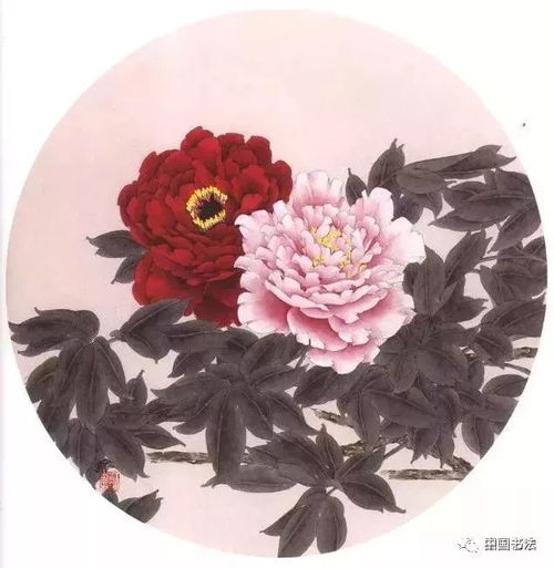 花开富贵工笔牡丹临习范本选页欣赏