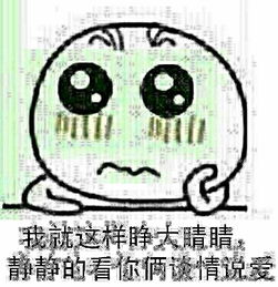 斗图大会图片,像这种,越多越好