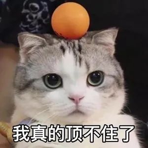 别再追我了表情包芭蕾少女