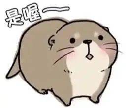 小水獭向你打招呼并递上一个表情包