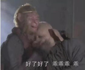 有一种难过叫我不在苏州国际车展葵花籽的悲哀