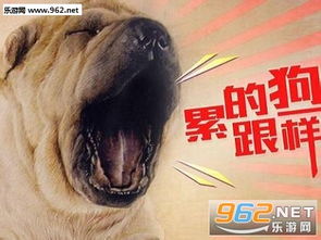 累了成狗表情包