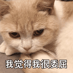 超可爱的表情包小哥哥,我是不是你的小宝贝