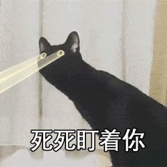 毁灭吧我麻了第250期喵表情
