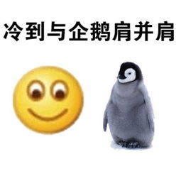 谈天说地妈妈网