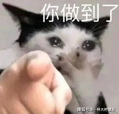 求求别再数羊了这8个高效方法一键解决你的失眠睡不着的问题