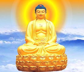 守护六根修行圆满