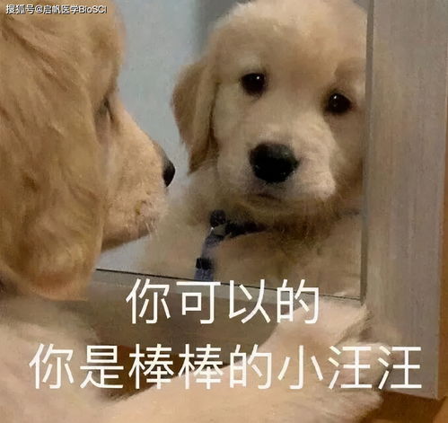 资料17g医学专业英语课堂,活泼又严谨,这知识点它进脑子啊