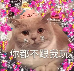 520专属表情包牵朕的手,就现在小奶猫直点头老公说的对