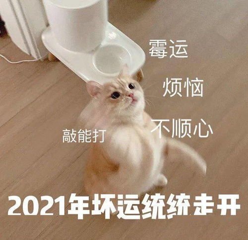 回顾2020攒满勇气,继续前行