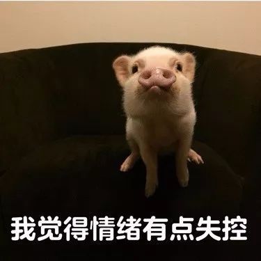 还我beta版微信公众平台正式版上线却被吐槽,你还习惯吗新榜观察