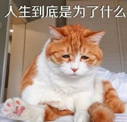 最新全国高考难度地图出炉,给江苏跪了