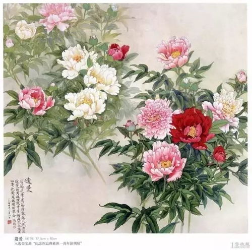 花开富贵送吉祥国画牡丹