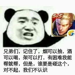 扒一扒王者荣耀举报系统的不合理现象附表情包