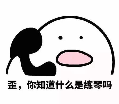 一波学钢琴的人才懂的表情包