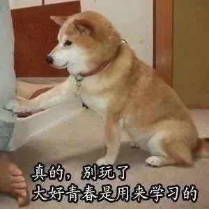 表情包学习写作业考试沙雕系列逢考必过