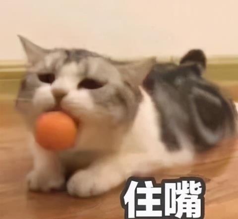 逐渐肥胖表情包住嘴