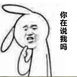 为什么高糊表情包比高清图更加吸引人,难道是传说中的打码诱惑