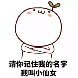 小仙女系列表情包