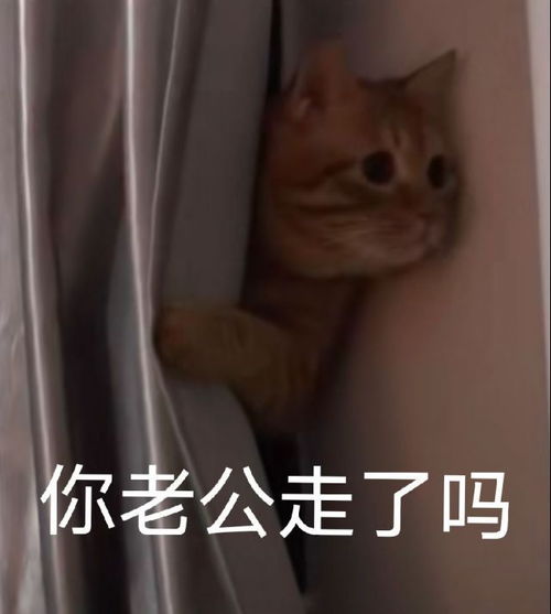一些让对象无语的沙雕情头