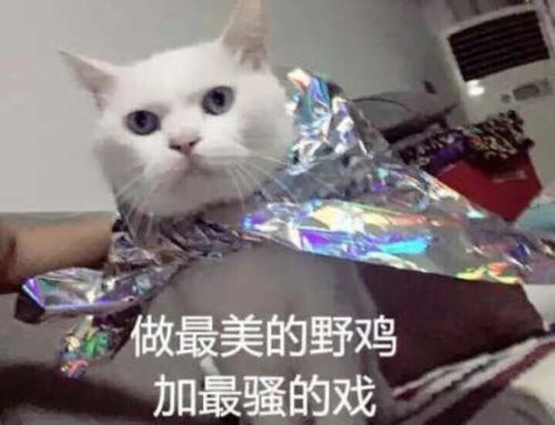 蹲蹲乐当年上课舍不得睡觉,就是怕错过老师的魔性口音