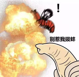 皮皮猪变身记