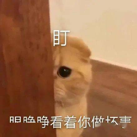 今日头像丨你是人间理想