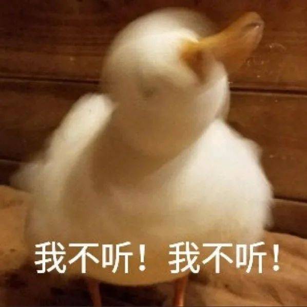 钓不动表情包阵风