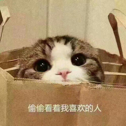 有哪些甜到骨子里的情话