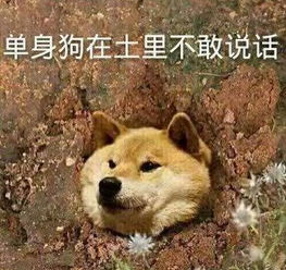 亲亲我的爱人表情包树洞
