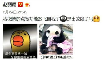 周冬雨膨胀赵丽颖没对象原因竟然是这样