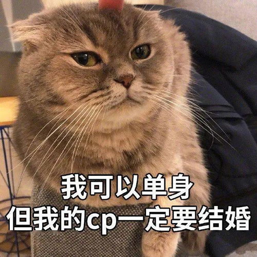聊天斗图表情包丨甜心我来啦