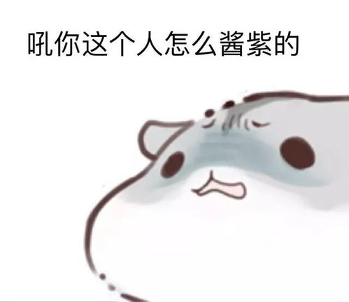 萌萌哒小仓鼠