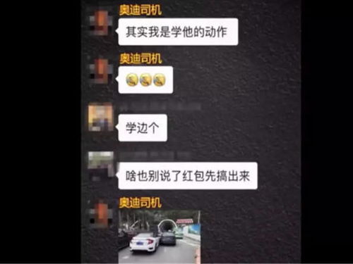 奥迪a5怼上思域,下车动作被做成表情包,另类幽默
