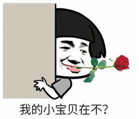 面都没见过,痴情男就送上数十万一套房见到真容后,男子要崩溃...