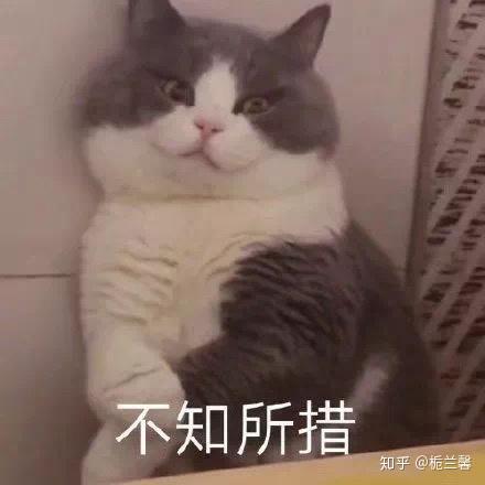 记录那些年我曾爱过的小说